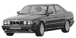 BMW E34 C203A Fault Code